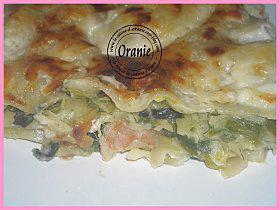 LASAGNES-POIREAUX3.jpg