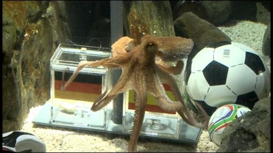 Paul le Poulpe est mort !