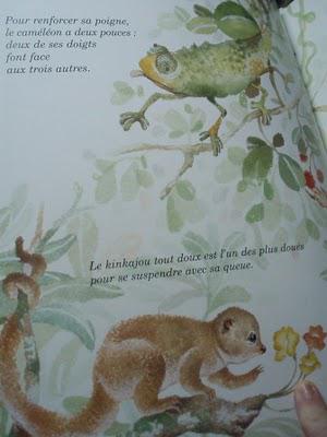 Ohé la science! ....(et Un look nature !)