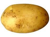 Bienfaits pommes terre santé