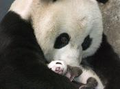 Hommage maman, aurait aujourd'hui