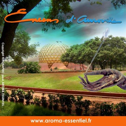 Encens d’Auroville