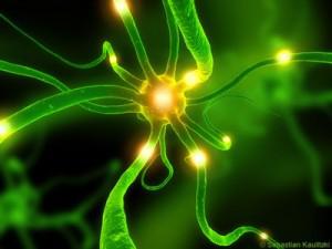 Alzheimer, la solitude d’un neurone et la sollicitude des laboratoires