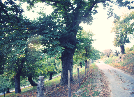 Week-end en Ardèche