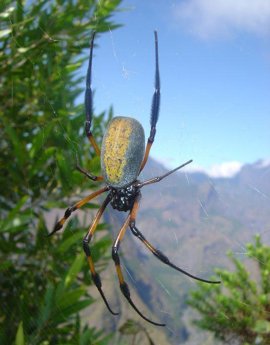 L'IMAGE DU JOUR: Bibe