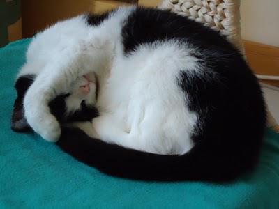 Un peu de douceur contre le froid