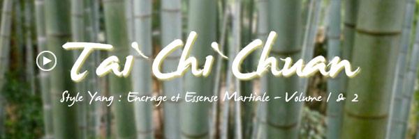 tai chi chuan yang