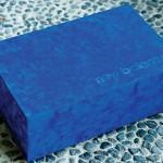 Limited_Edt_New-Balance_577_2-550x366