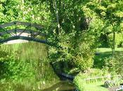 Découvrons hortillonnages