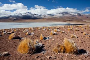 Soirées Club des Reporters à Beausoleil: Voyages en terres chiliennes