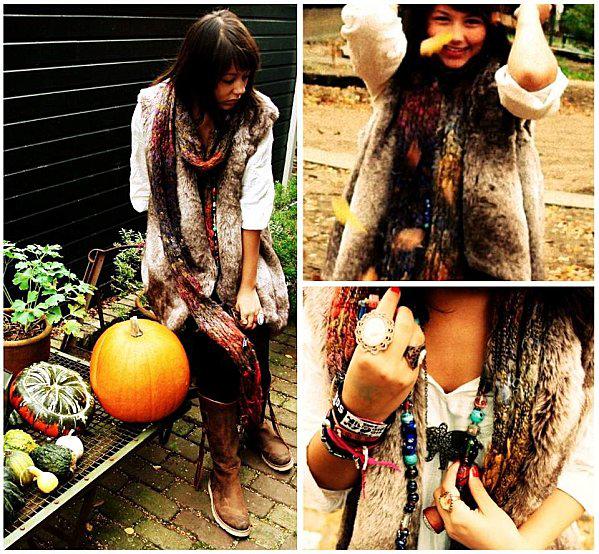 867704 autumncollage