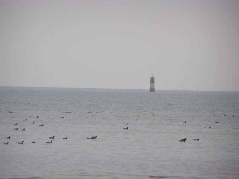 Visions marines (Jean-Baptiste Besnard)