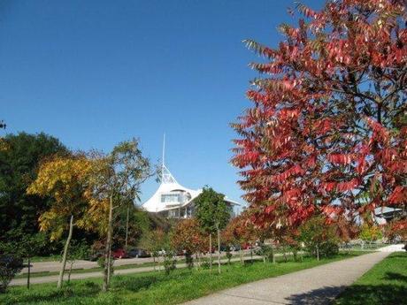 Parc de la Seille, près de Centre Pompidou Metz