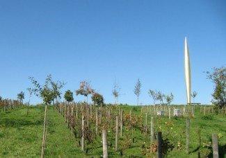 Vignes et arbres fruitiers Metz