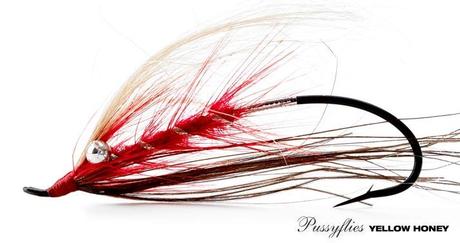 PUSSYFLIES – MOUCHE PUBIENNE