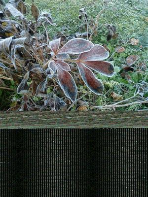 Diaporama des premières gelées dans la Meuse Diaporama des premières gelées dans la Meuse