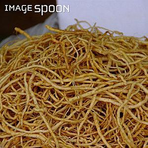 Le ginseng 1000003112 crucial38