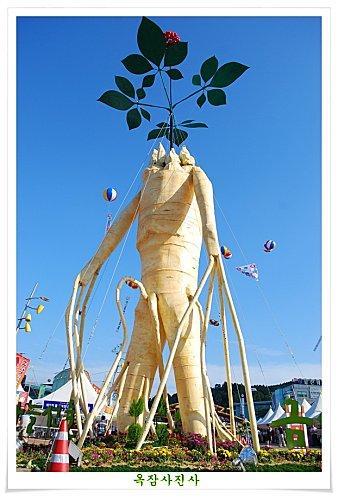 Le ginseng 대형인삼-copie-5