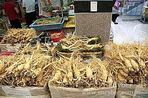 Le ginseng 수삼