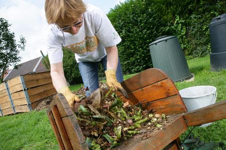 Jardinage d’automne