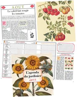 Jardinage d’automne