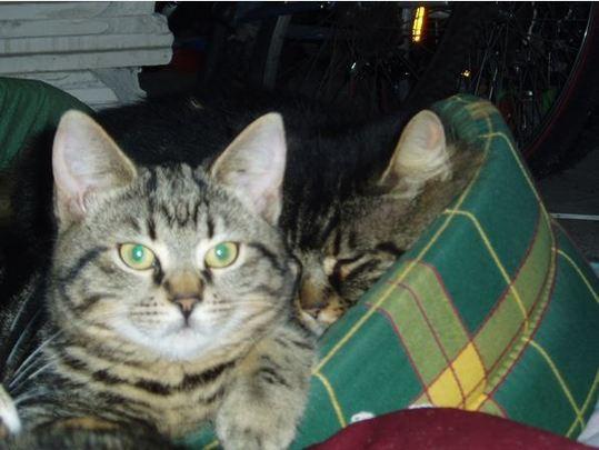 Témoignage : refuge