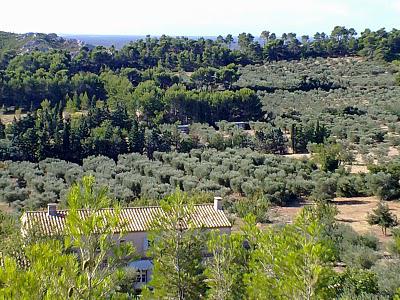 Roland : mon séjour à Capraland