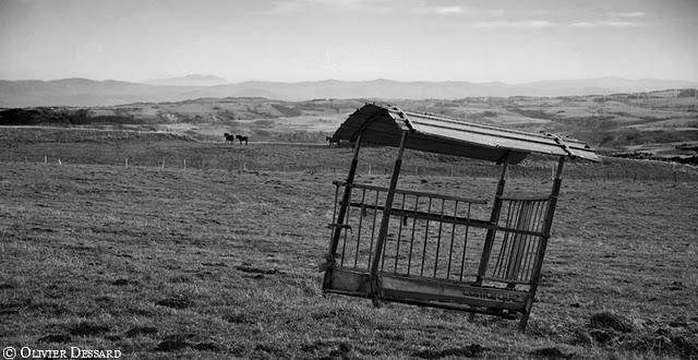 Camargue en Cantal ...