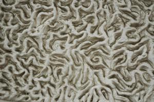 Invasion des Chenilles (Mutantes)