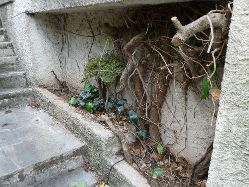 Les pluies d'automne arrivent : journal du 30 octobre 2010