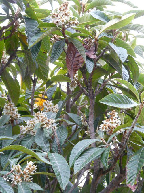 Les pluies d'automne arrivent : journal du 30 octobre 2010