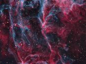 monstre l'espace pour Hallowen