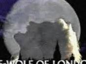 She-Wolf London Love Curses