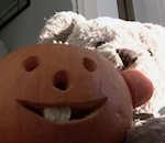 vidéo misery bear dawn of the ted