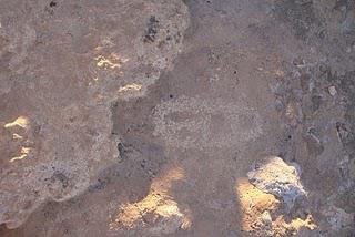 Gravures rupestres du Dahar-Tunisie