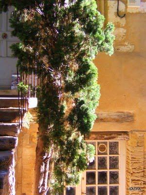 Gordes ....balade ...en images