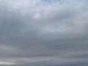 Lachaussée,… fête près l’étang