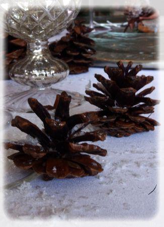 Ma première table de Noël 2010 noel_argentbrun_077_modifi__1