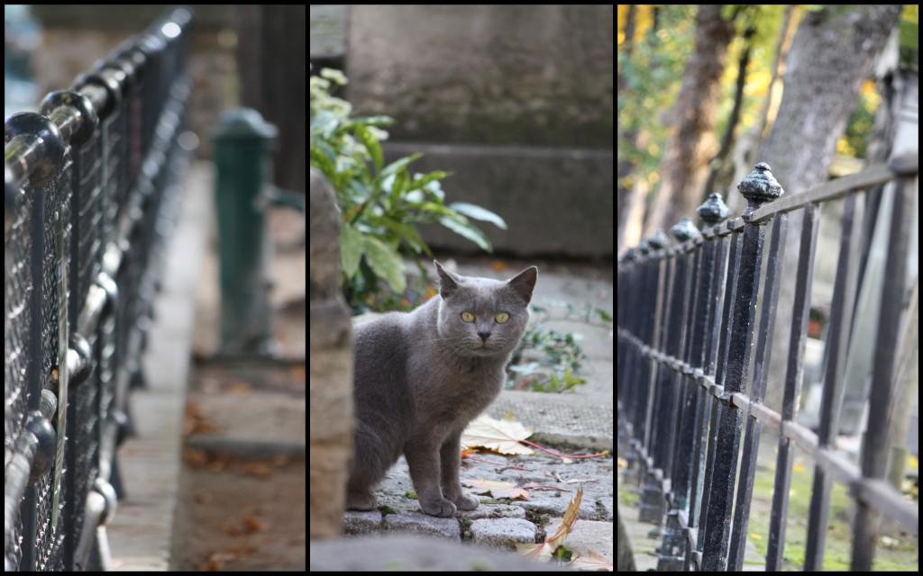 Quelques photos de Paris, seule sans enfant…