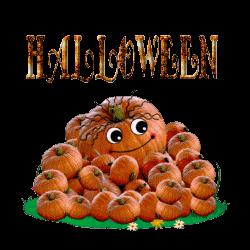 CHOUX-FLEURS, SAUCE BECHAMEL GRATINEE