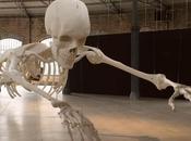 Squelette géant suspendu