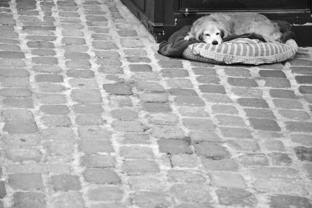 Image Hosted by ImageShack.us