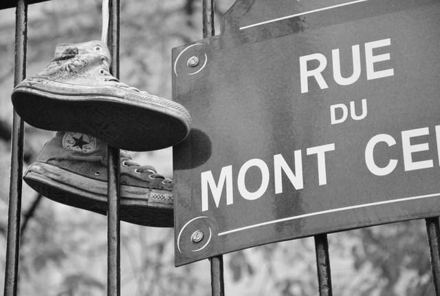 Image Hosted by ImageShack.us