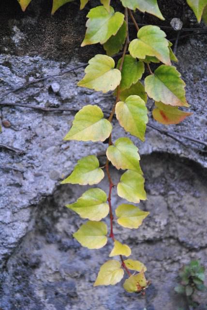 Image Hosted by ImageShack.us