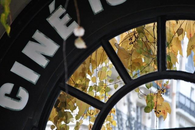 Image Hosted by ImageShack.us