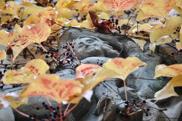 Image Hosted by ImageShack.us