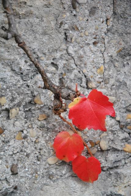 Image Hosted by ImageShack.us