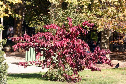 euo grand entier paris 30 oct 2010 088.jpg