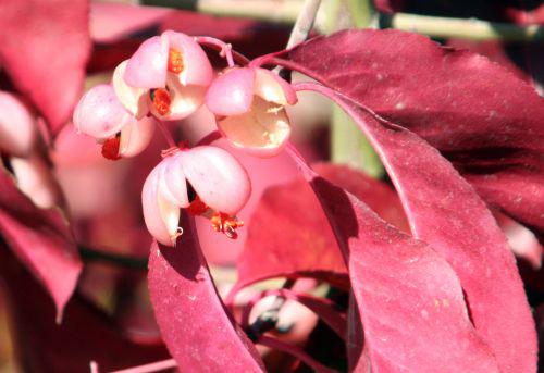 euo grand paris 30 oct 2010 092.jpg