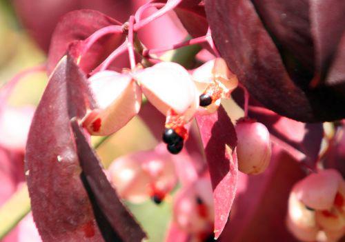 euo grand paris 30 oct 2010 096.jpg